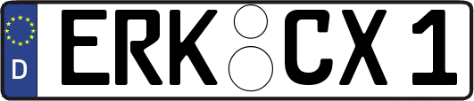 ERK-CX1
