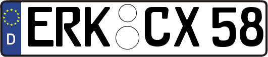 ERK-CX58