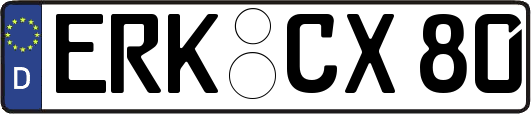 ERK-CX80