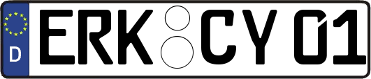 ERK-CY01