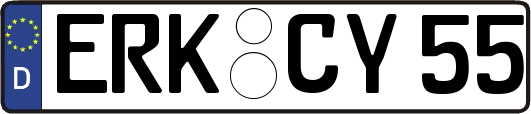 ERK-CY55