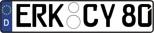 ERK-CY80