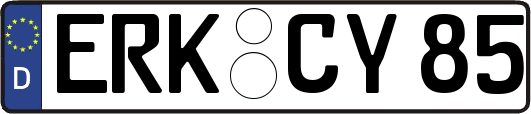 ERK-CY85