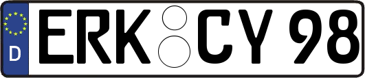 ERK-CY98