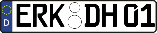ERK-DH01