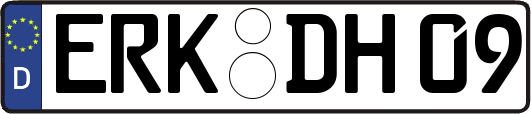ERK-DH09