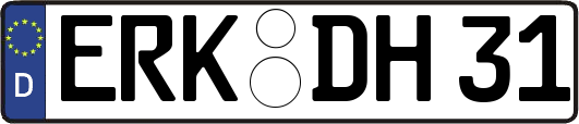 ERK-DH31