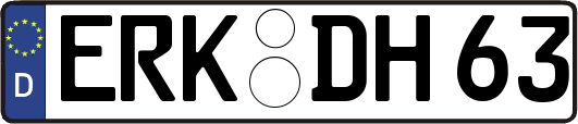 ERK-DH63