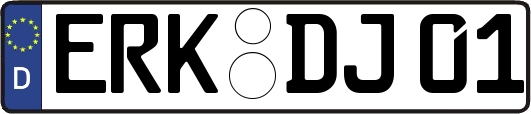ERK-DJ01