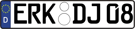 ERK-DJ08