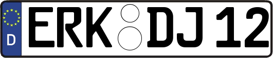 ERK-DJ12