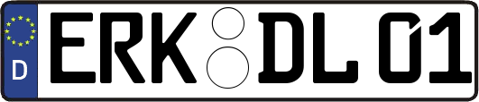 ERK-DL01