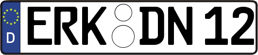 ERK-DN12