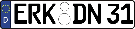 ERK-DN31