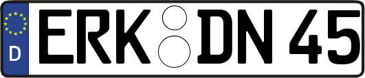 ERK-DN45