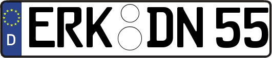 ERK-DN55