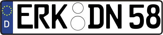 ERK-DN58