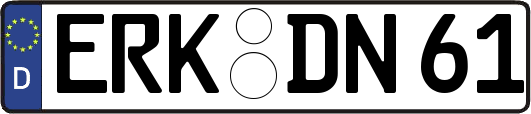 ERK-DN61