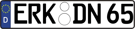 ERK-DN65