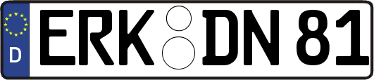 ERK-DN81