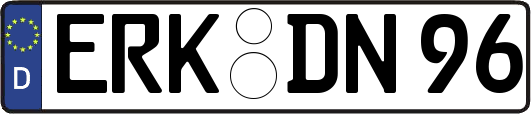 ERK-DN96