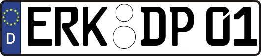 ERK-DP01