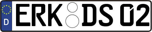 ERK-DS02