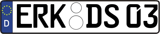 ERK-DS03
