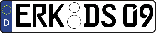 ERK-DS09