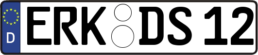 ERK-DS12
