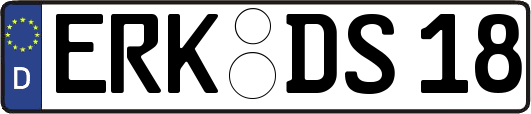 ERK-DS18