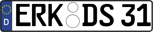 ERK-DS31