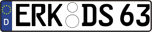 ERK-DS63