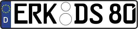ERK-DS80