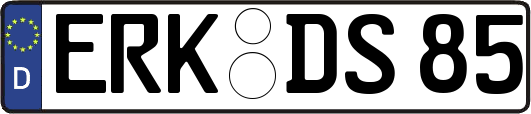 ERK-DS85