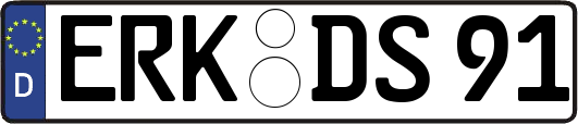 ERK-DS91