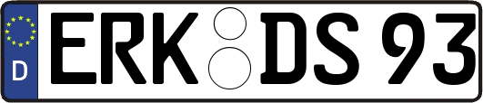 ERK-DS93