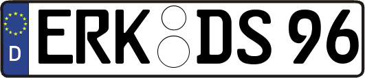 ERK-DS96