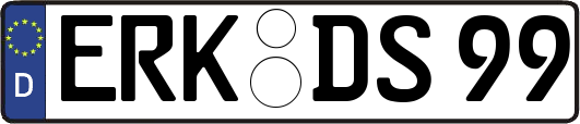 ERK-DS99