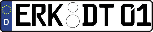 ERK-DT01