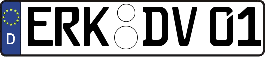 ERK-DV01