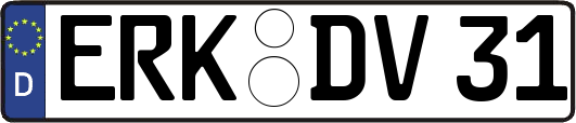 ERK-DV31