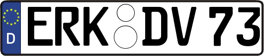 ERK-DV73