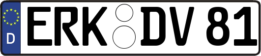 ERK-DV81