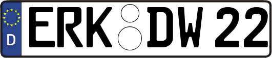 ERK-DW22