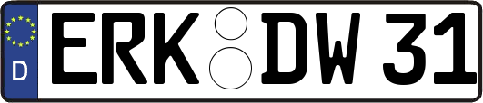 ERK-DW31