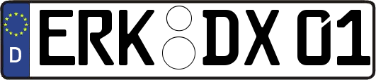 ERK-DX01