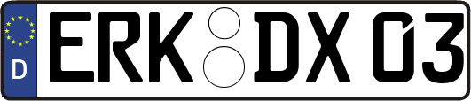 ERK-DX03