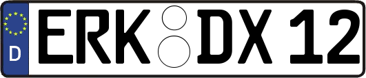 ERK-DX12