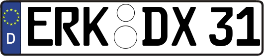 ERK-DX31